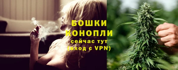 молекула духа Нефтекумск