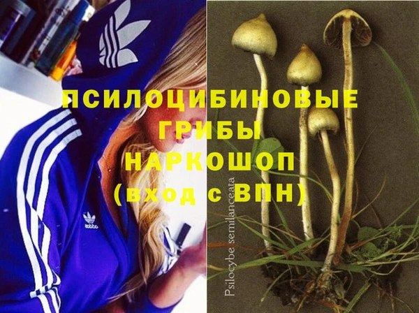 мяу мяу кристалл Нефтегорск