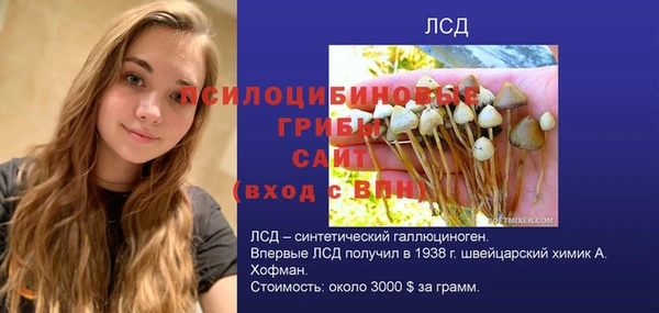 молекула духа Нефтекумск
