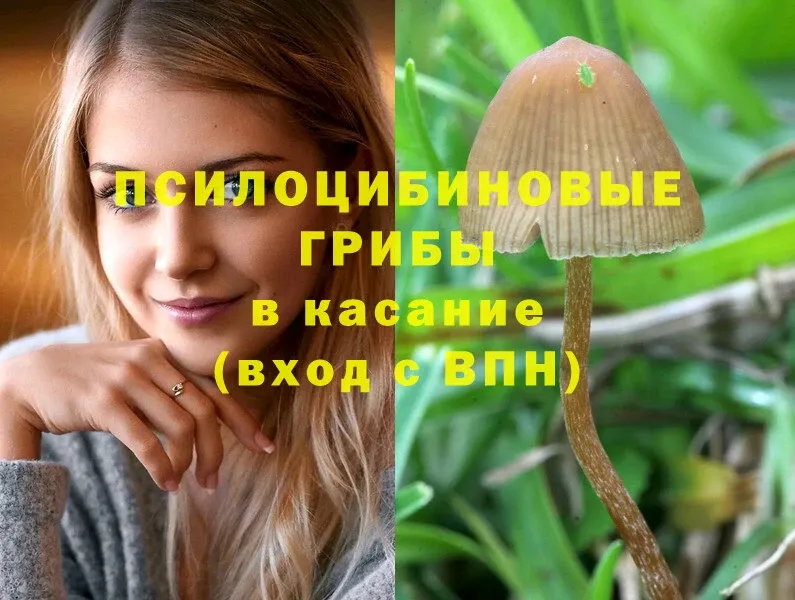 Псилоцибиновые грибы Magic Shrooms Электроугли